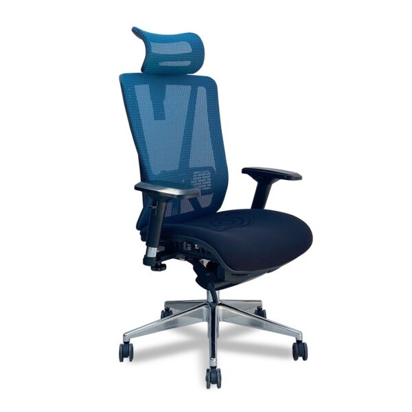 Laxor Executive Chair (Blue Mesh)