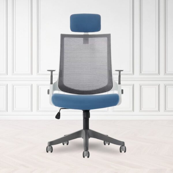 Aero Mesh Executive Chair EC041